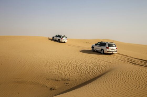 Desert Safari – Golden Sands Adventure