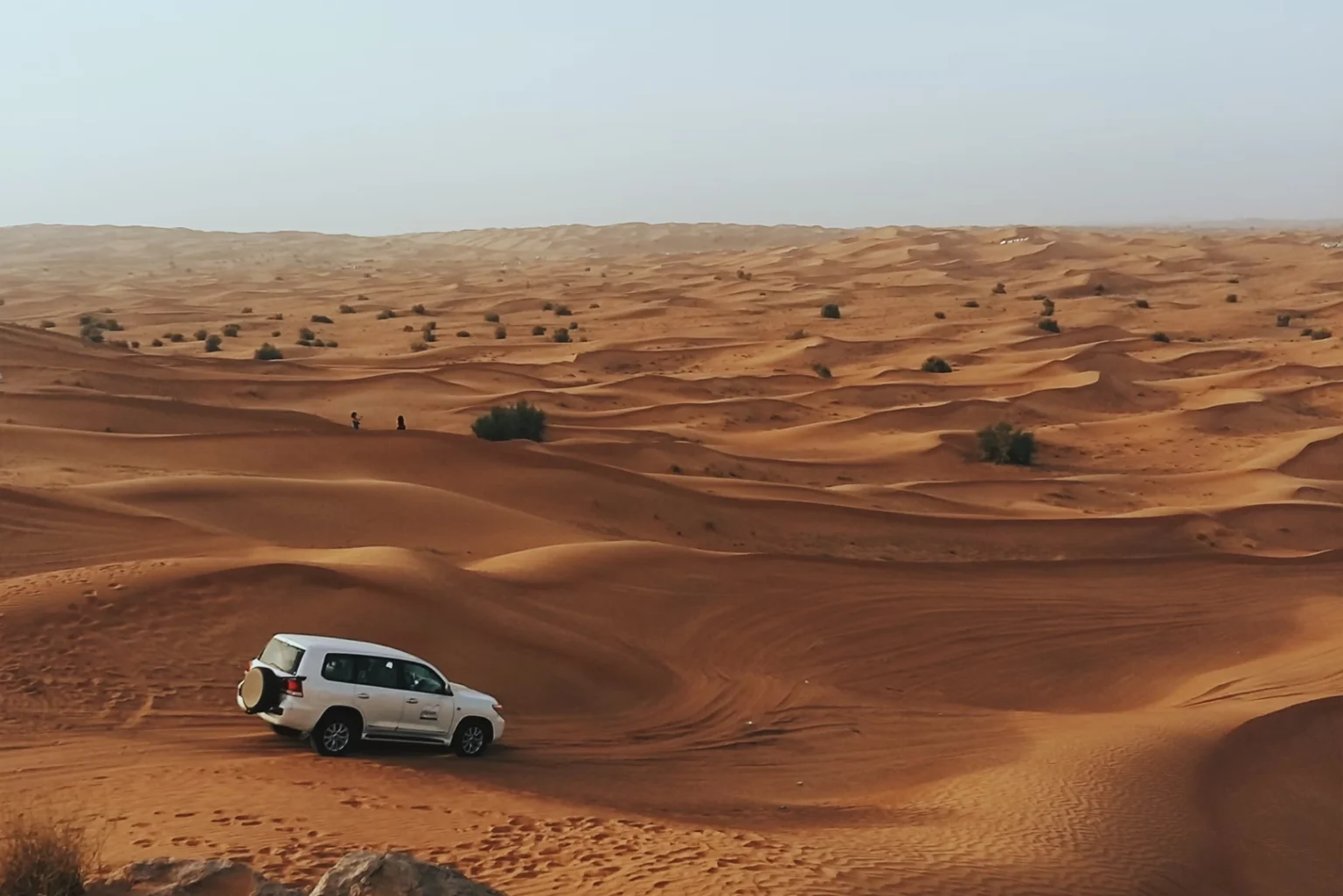 Desert-1536x1025